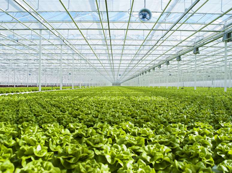 NAICS Code 1114 - Greenhouse, Nursery, and Floriculture Production
