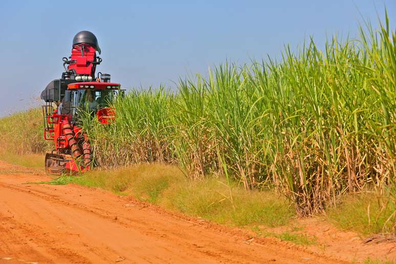 NAICS Code 111930 - Sugarcane Farming