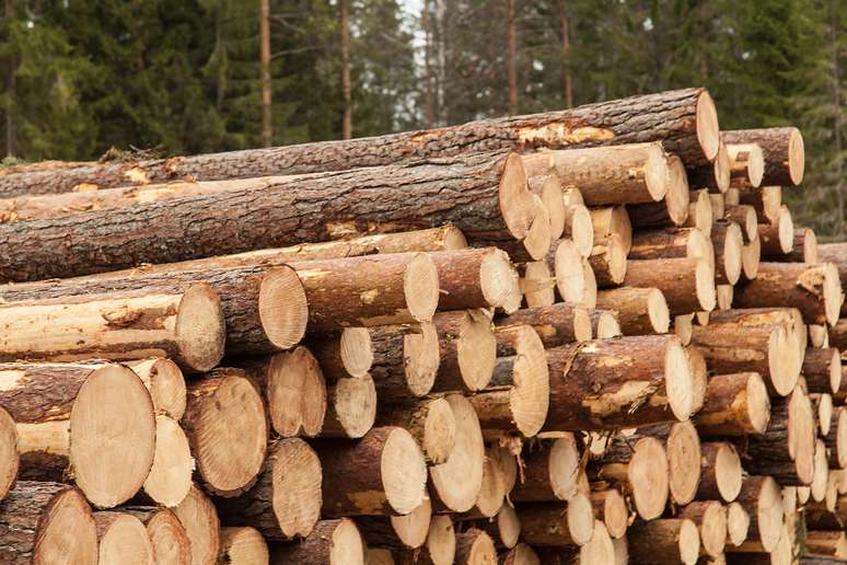NAICS Code 1133 - Logging