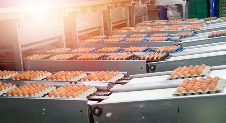 NAICS Code 424440 - Poultry and Poultry Product Merchant Wholesalers