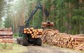 Timber Tract Operations