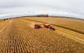 Crop Harvesting, Primarily by Machine 