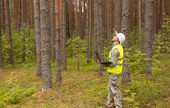 Support Activities for Forestry