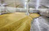 Malt Manufacturing 