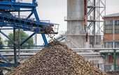 Beet Sugar Manufacturing 