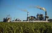 Cane Sugar Manufacturing 