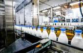 Fluid Milk Manufacturing 