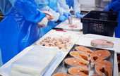 Seafood Product Preparation and Packaging