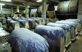 Leather and Hide Tanning and Finishing