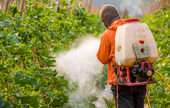 Pesticide and Other Agricultural Chemical Manufacturing