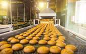 Food Product Machinery Manufacturing 