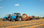 Farm and Garden Machinery and Equipment Merchant Wholesalers 