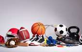 Sporting and Recreational Goods and Supplies Merchant Wholesalers 