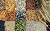 Grain and Field Bean Merchant Wholesalers 