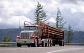 Specialized Freight (except Used Goods) Trucking, Long-Distance 