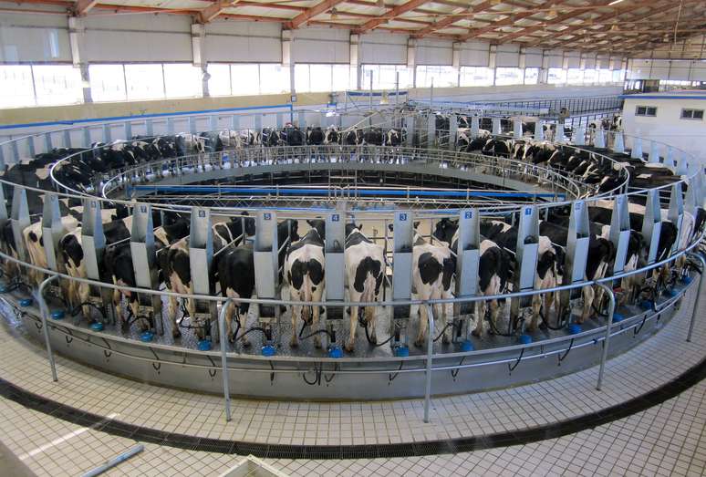 SIC Code 024 - Dairy Farms