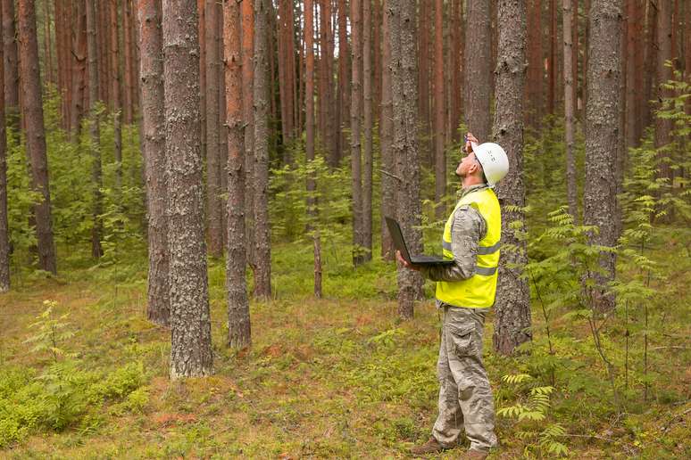 SIC Code 0851 - Forestry Services