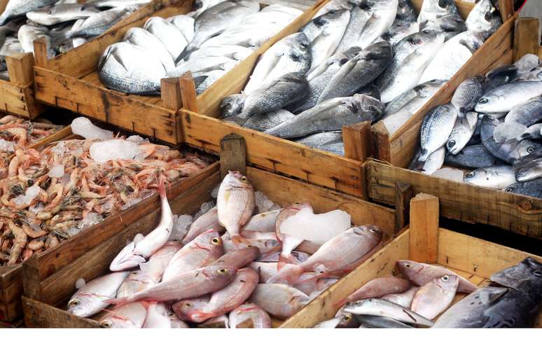 SIC Code 542 - Meat and Fish (Seafood) Markets, including Freezer Provisioners