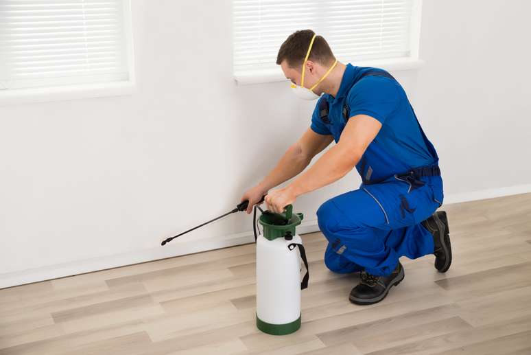 Pest Control Services Utah