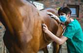 Veterinary Services for Animal Specialties