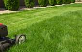 Lawn and Garden Services