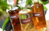 Flavoring Extracts and Flavoring Syrups, Not Elsewhere Classified