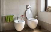 Vitreous China Plumbing Fixtures and China and Earthenware Fittings and Bathroom Accessories