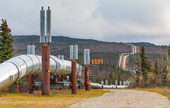 Crude Petroleum Pipelines