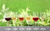 Wine and Distilled Alcoholic Beverages